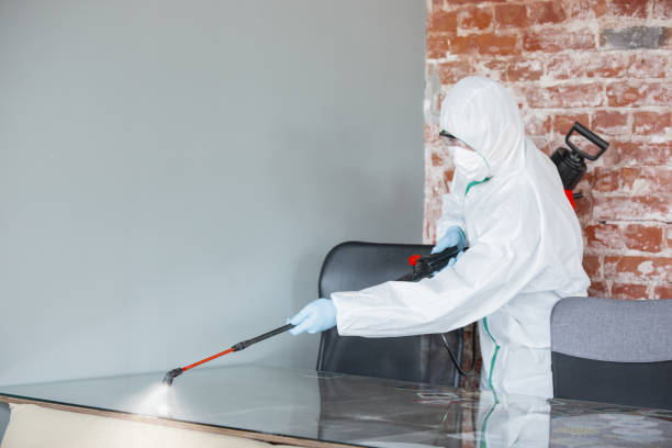 Mold Remediation for Vacation Homes in Marion, IL